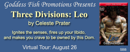 SBB_TourBanner_ThreeDivisionsLeo copy