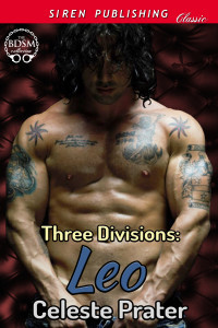 MediaKit_BookCover_TheThreeDivisions