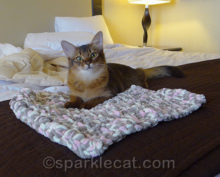 I love this blanket!