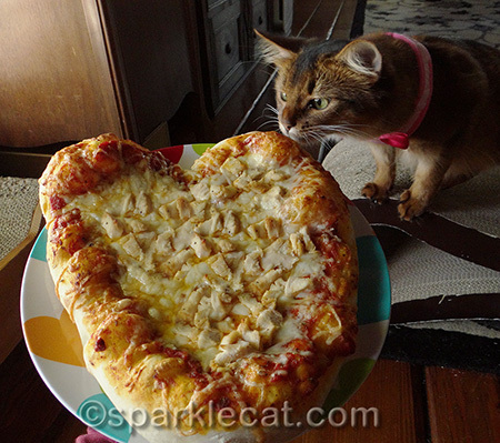 My human said she was going to make this again... and so far she hasn't!