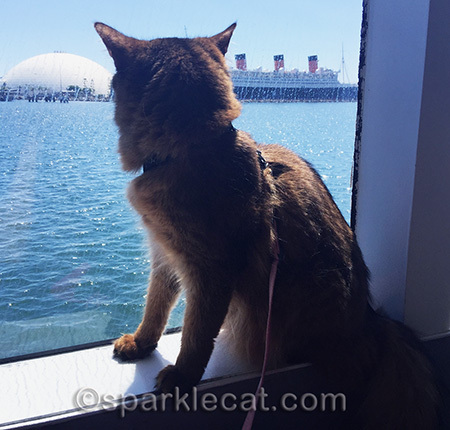 Still not impressed by the Queen Mary