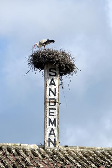 Stork"/