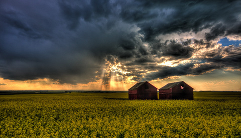 Photo: Fill out the Alberta climate survey and protect your health! 