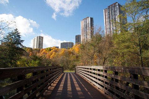 Photo: A healthy environment nurtures healthy people