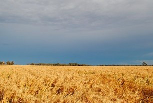 farm landscape