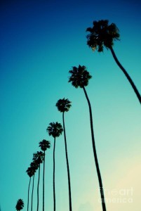 tina_turner_trees