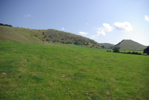 Through the field