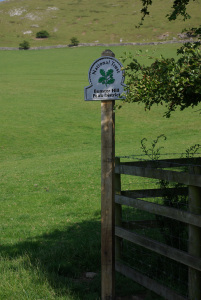 Along the trail