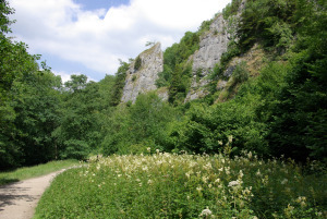 Tissington Spires