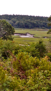 3. View of the Morse Tidal River in Phippsburg, Maine, from the real-life 1877 House. The house and its view inspired the home in Hidden Harbor where Katherine and her ex-husband, Barry, once lived—and where Barry now lives alone.