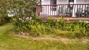 4.      Barry’s back porch. Strange, but it wasn’t until I read through proofs that I realized I’d even included the 1877 House’s green metal chairs.