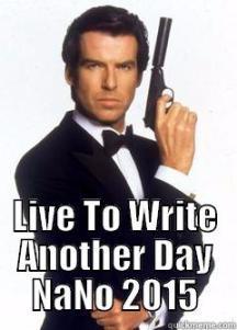 Please support Marilyn Vix to write another year during NANO 2015!