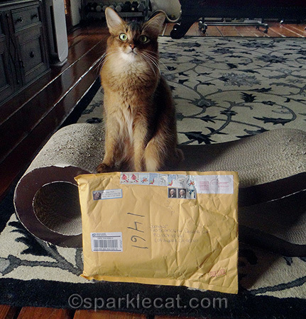 We did not get to play with the envelope after it was opened. Darn!