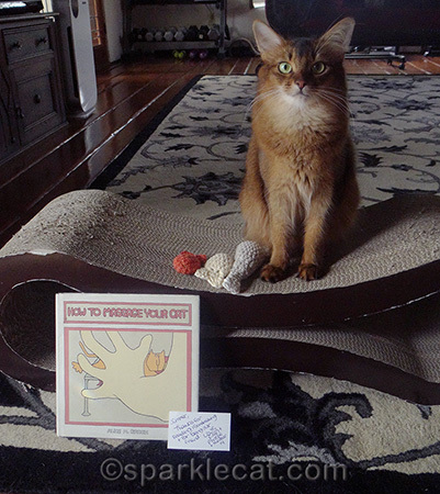 Y'know, I really would have liked that envelope too...