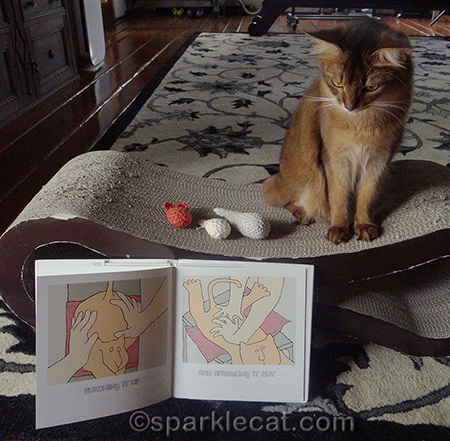 I don't think I would let my human do some of this!