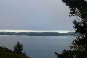 Penn Cove gray