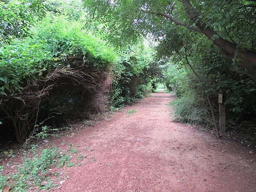 Adyar-Tholkappiya-Poonga-Park-Chennai-India-6