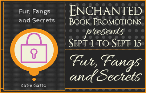 furfangsbanner