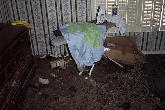 The only thing left standing in my in-law's home was this ironing board.