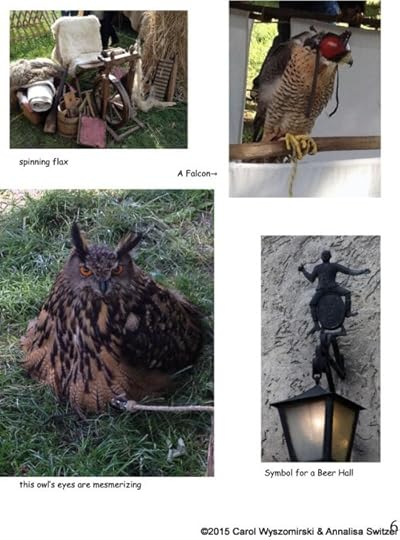 Falcons, Owls, and Other Stuff