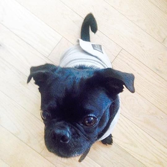 11910060_476011629247878_1680504614_n