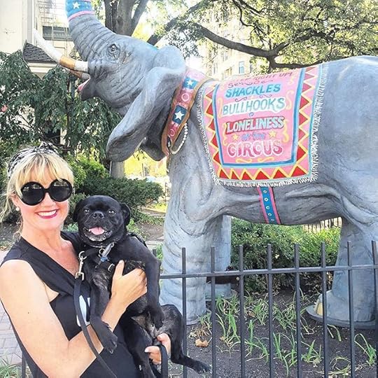 11887166_1634232913532907_1259024605_n