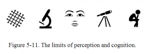 perception