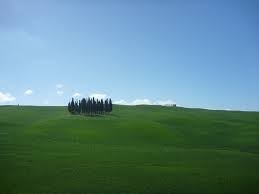 Image and video hosting by TinyPic