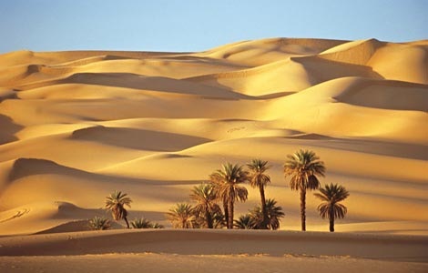 Image and video hosting by TinyPic