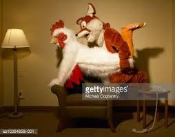 Homeless Cockfighting 