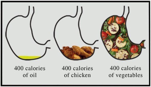 Example of 400 calories and how full your stomach is on different foods.