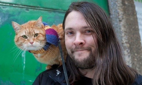 street-cat-bob-movie
