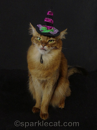 My opinion of this hat