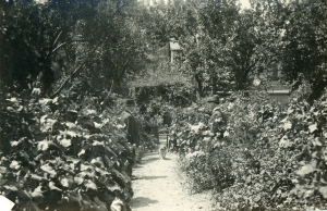 Matheson House garden 2