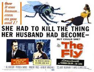 The Fly released