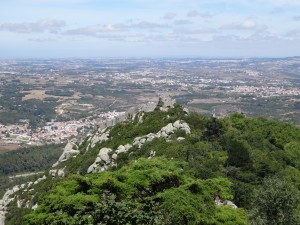 DSC06002