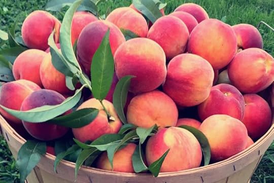 Cookbook author, Katie Workman, suggests 10 kitchen essentials