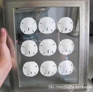 DIY SandDollarFrame