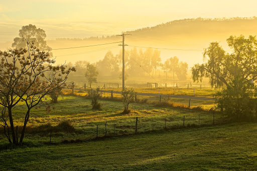 Morning mist in Broke, Australia