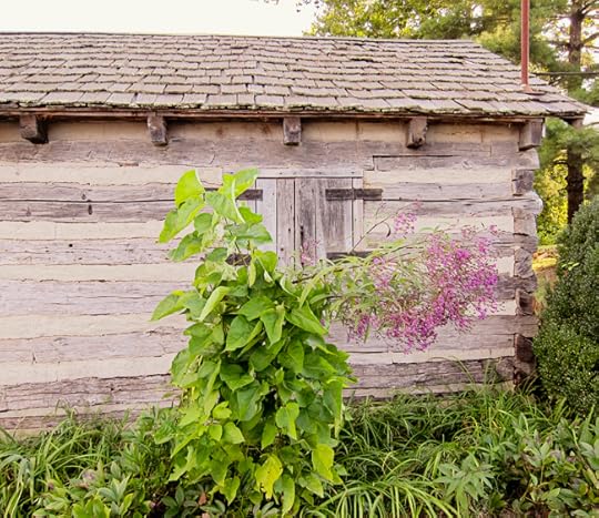 cabin web