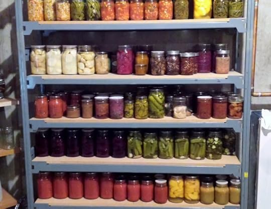 A section of one of my canning shelves
