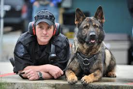 Image result for police dogs