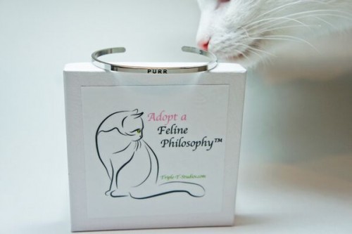 Feline-philosophy-bracelet
