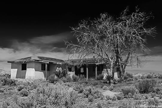 house in the desert: house in the desert