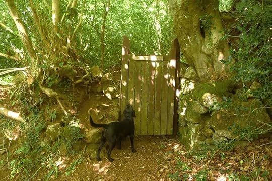 The gate to the woods.
