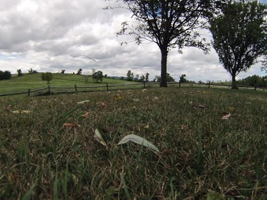 DCIM100GOPRO