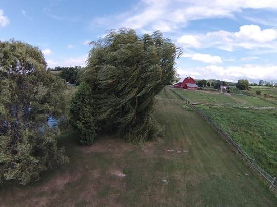DCIM100GOPRO