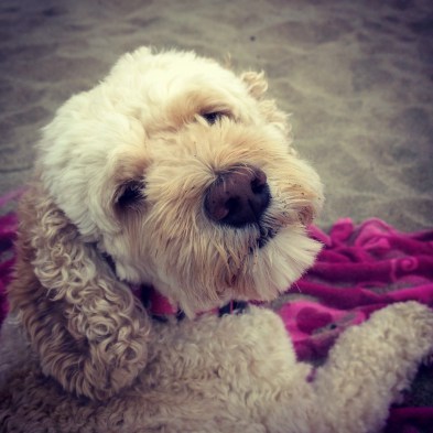 InstagramCapture_e47a3eee-913d-4c2e-a20f-3291ee25193e