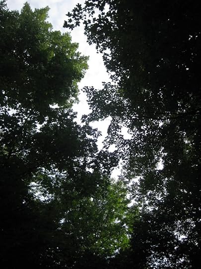 Murphys Point (15)