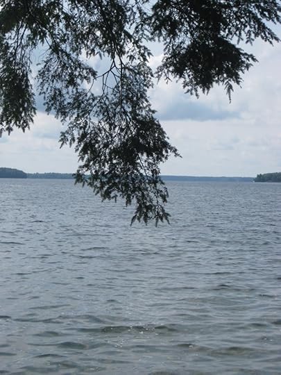 Murphys Point (30)